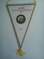 /album/fotogaleria-caslav/caslav-sk-kosmos-75-24-jpg/